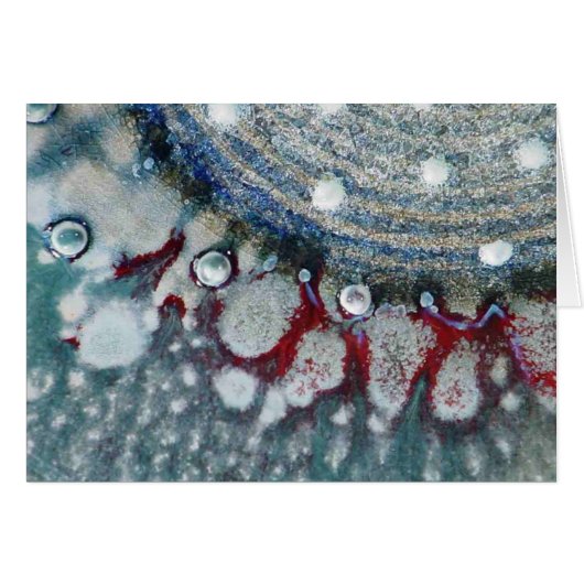 Serene Mariner (Front Horizontal)