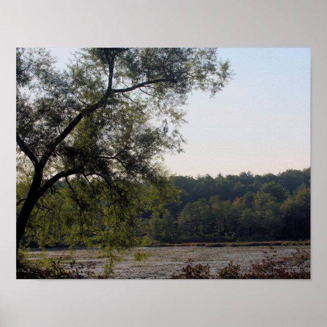 Serene Marsh And Tree Nature Poster (Front)