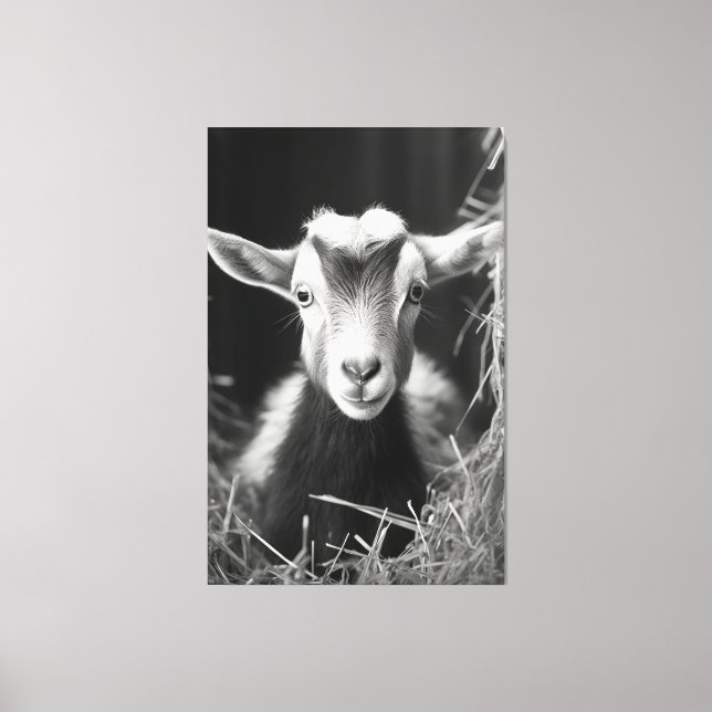 Serene Monochromatic Artistic Baby Goat Portrait Canvas Print (Front)