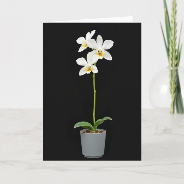 Serene Mothers Day Plant Card (Front)