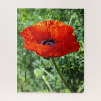 Serene Nature Landscape Jigsaw Puzzle