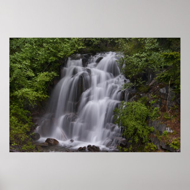 Serene Poster (Front)