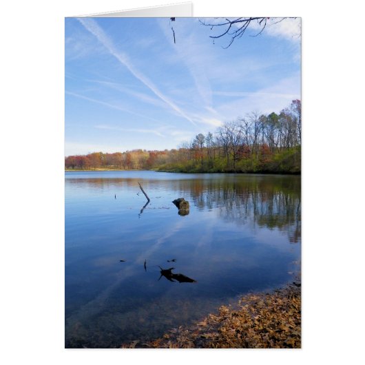 Serene Reflections  -  Scripture Card (Front)