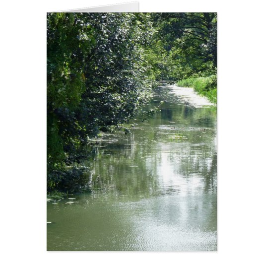 Serene River Flowing Cards (Front)