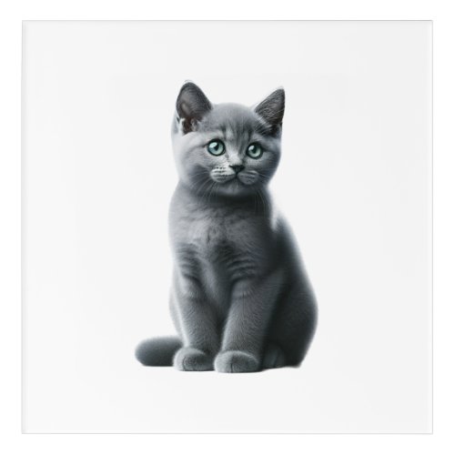 Serene Russian Blue Kitten Acrylic Print