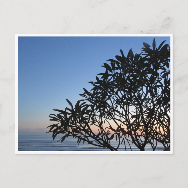 serene silhouette postcard (Front)