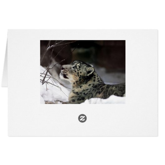 Serene Snow Leopard (Back Horizontal)