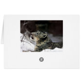 Serene Snow Leopard Cards (Back Horizontal)
