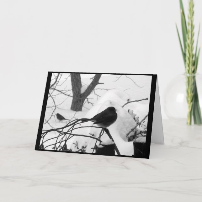 Serene Snowbird Christmas Card (Front)