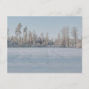 Serene Snowy Forest Landscape Postcard