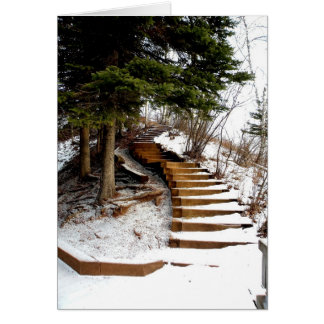 Serene Stairway Cards