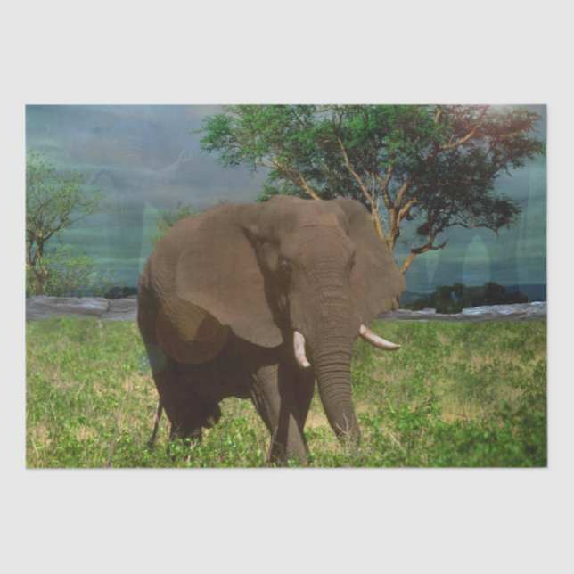 "Serene Strength: The Bull Elephant Grazing"  Tissue Paper (Front)