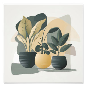 Serene Succulents Photo Print