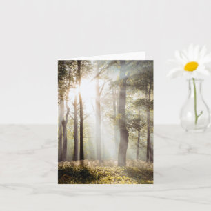 Serene Sunlit Forest Card