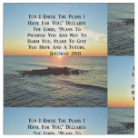 SERENE SUNRISE JEREMIAH 29:11 SCRIPTURE DESIGN FABRIC