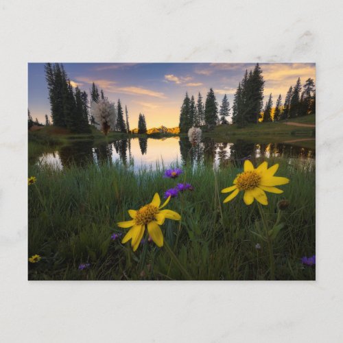 Serene Sunrise over a Colorado Pond Postcard