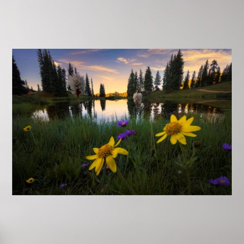 Serene Sunrise over a Colorado Pond Poster