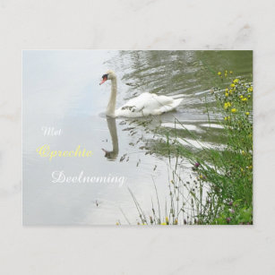 Serene Swan & Dragonfly Sympathy Postcard