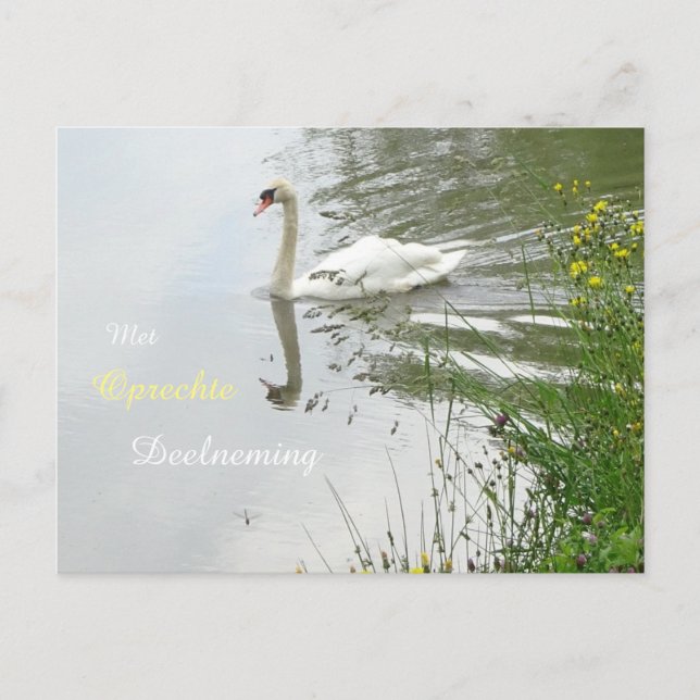 Serene Swan & Dragonfly Sympathy Postcard (Front)