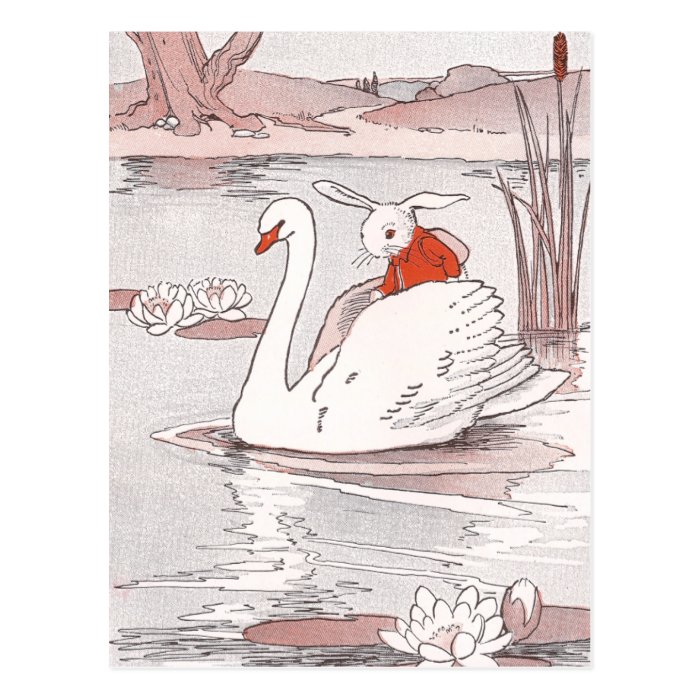 Serene Swan Gives Rabbit a Lift Post Card