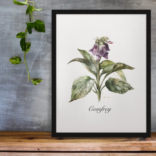 Serene Watercolor Comfrey, custom  Poster (Creator Uploaded)