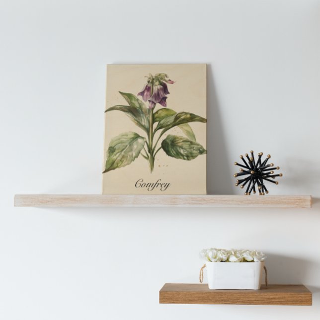 Serene Watercolor Comfrey, custom Wood Wall Art (Creator Uploaded)