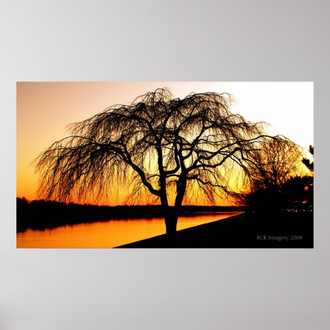 Serengeti in the City Poster (Front)