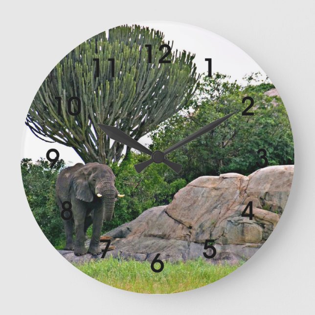 Serengeti Kopje — Tanzania, Africa Large Clock (Front)