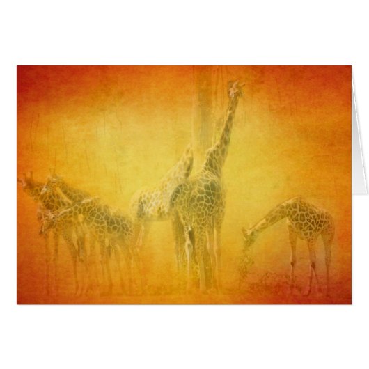 SERENGETI MOODS GREETIN CARD (Front Horizontal)