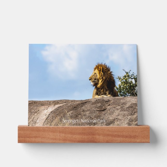 Serengeti National Park Picture Ledge (Front)