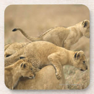 Serengeti National Park, Tanzania 2 Drink Coaster