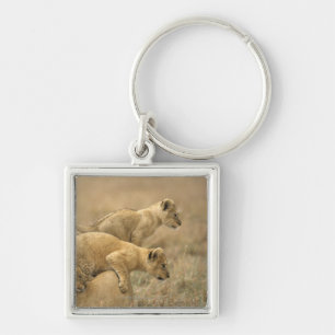 Serengeti National Park, Tanzania 2 Keychain