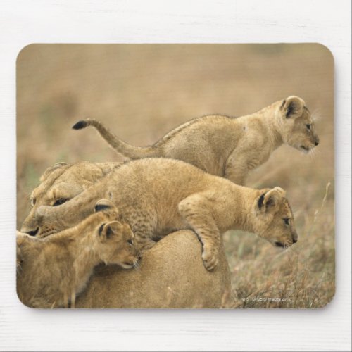 Serengeti National Park Tanzania 2 Mouse Pad