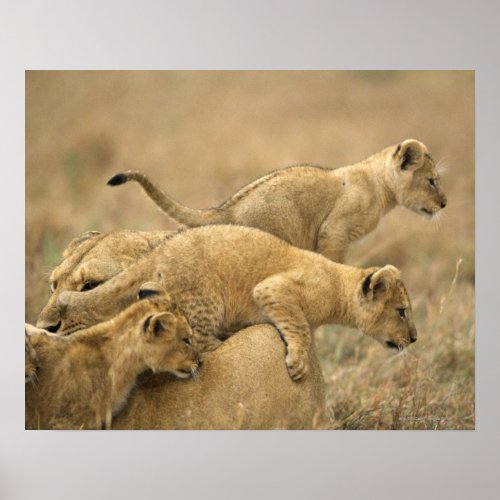 Serengeti National Park Tanzania 2 Poster