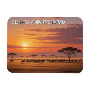 Serengeti National Park Tanzania Postcard Magnet