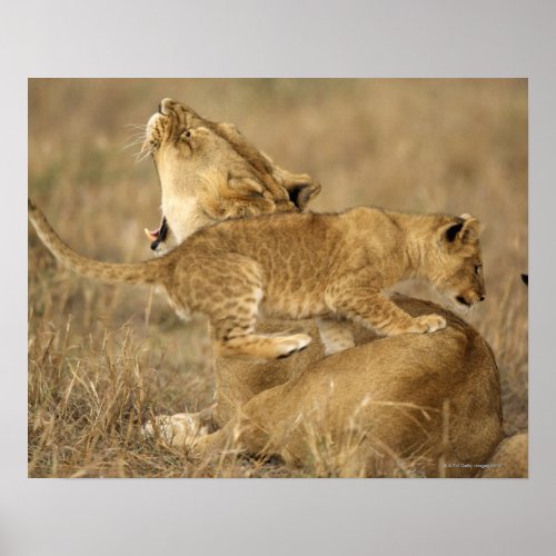 Serengeti National Park Tanzania Poster
