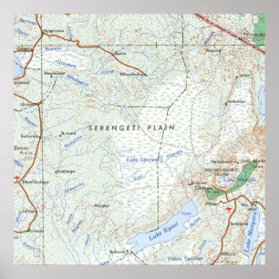 Serengeti Plain Vintage Map Poster