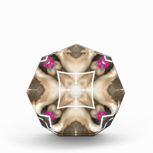 Serengeti Splendor: Vibrant Animal Hide Artistry Acrylic Award