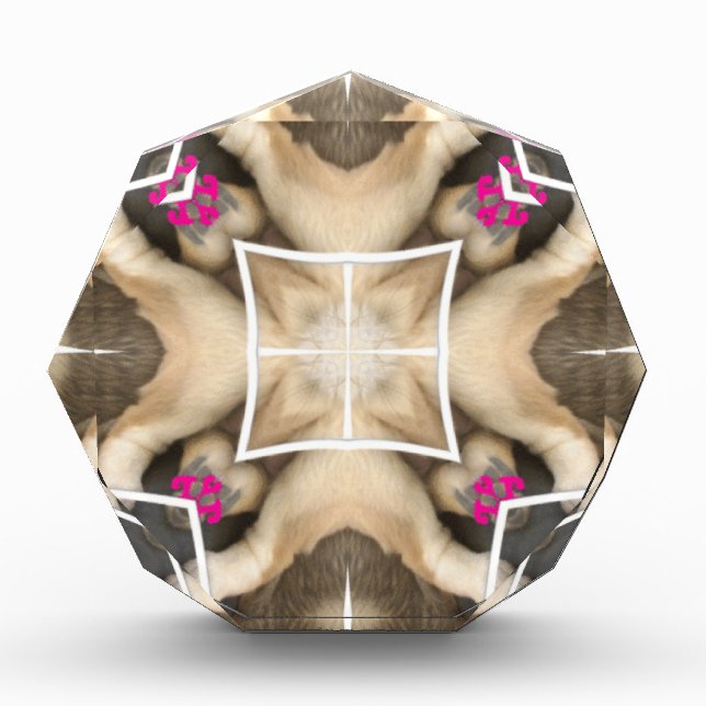 Serengeti Splendor: Vibrant Animal Hide Artistry Award (Front)