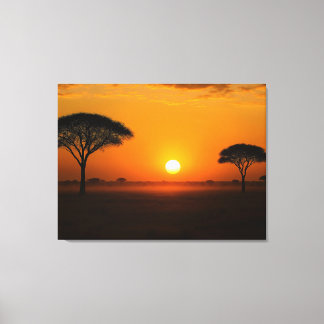 Serengeti sunset above the grassland canvas print