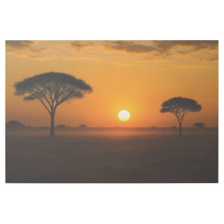 Serengeti sunset above the grassland gallery wrap