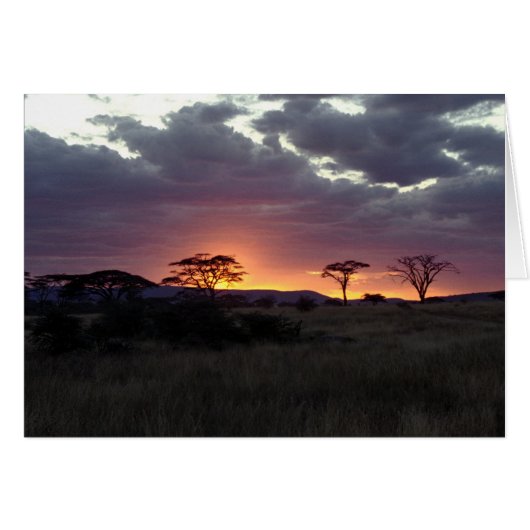 Serengeti_Sunset Cards (Front Horizontal)