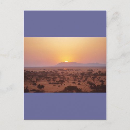 Serengeti Sunset Postcard