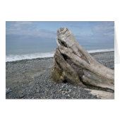 Serenity (Front Horizontal)