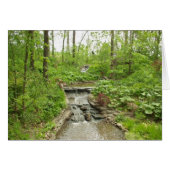 Serenity (Front Horizontal)