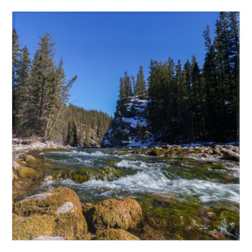 Serenity at the 5th Bridge _ Athabasca River  Acrylic Print