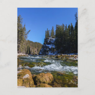 Serenity at the 5th Bridge - Athabasca River  Postcard