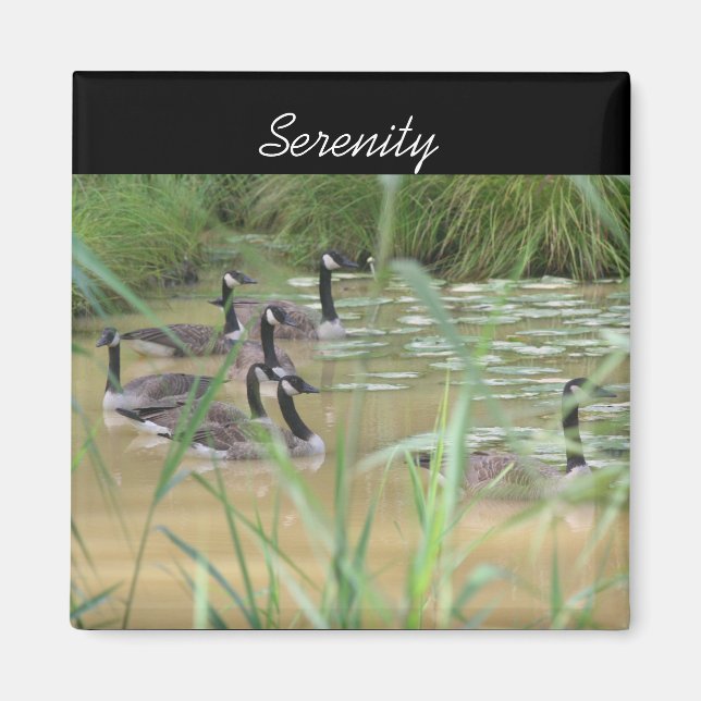 Serenity Canada Geese Inspirational Nature Magnet (Front)
