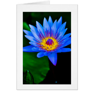 Serenity Cards