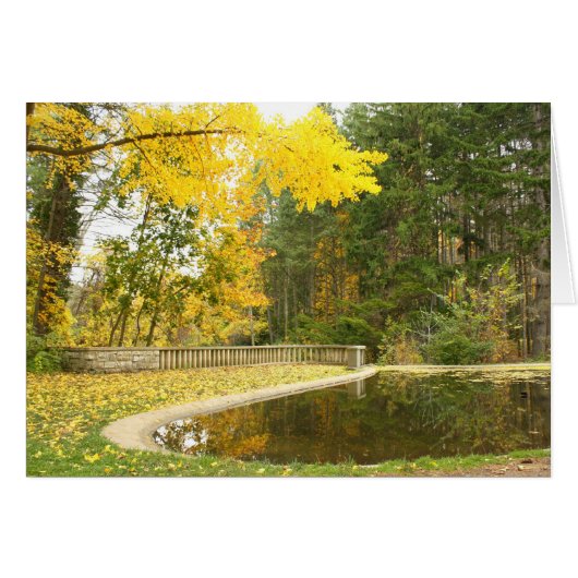 Serenity Cards (Front Horizontal)